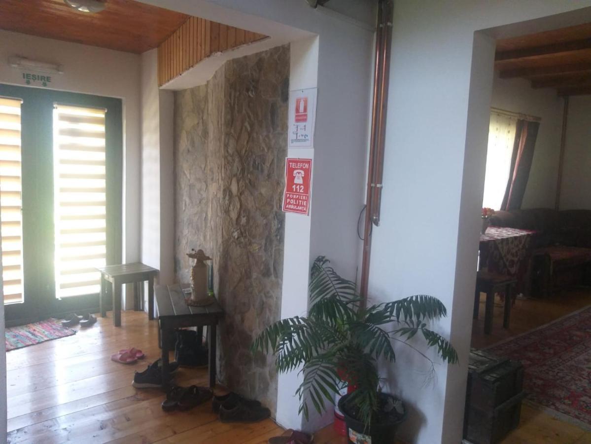 Pensiunea Carma Certeju de Sus Exterior foto